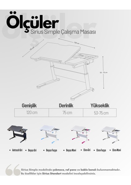 Sirius Simple Kız Çocuk Çalışma Masası, Eğimli Yükselebilir Çalışma Masası - 120x75 Cm, Beyaz/Fuşya