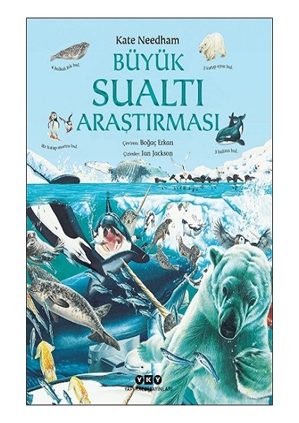 Büyük Sualtı Araştırması