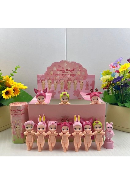 Cherry Blossom Hanami Edition Blind Box