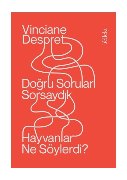 Doğru Soruları Sorsaydık Hayvanlar Neler Söylerdi?