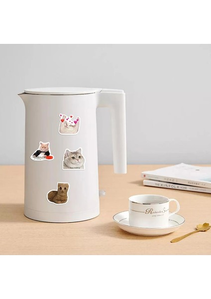 Çılgın Kediler Macbook Notebook Tablet Telefon Ajanda Laptop Defter Sticker Seti fiyatları