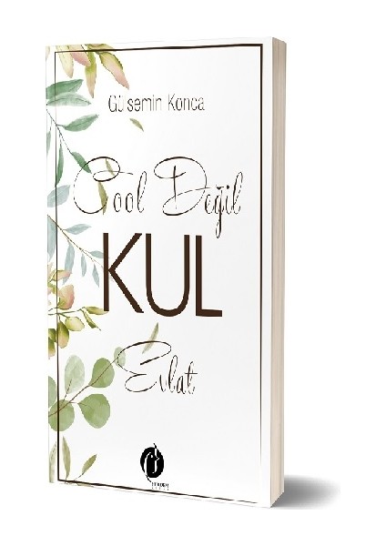 Cool Değil Kul Evlat