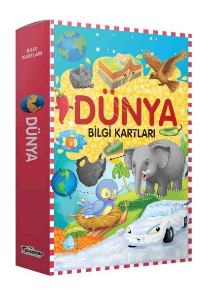 Bilgi Kartları - Dünya