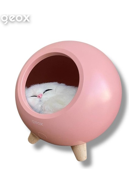 Little Pet House Masa Lambası, Gece Lambası, Abajur