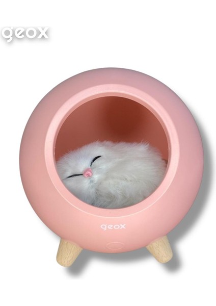 Little Pet House Masa Lambası, Gece Lambası, Abajur fiyatları