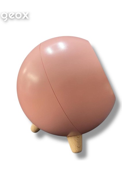 Little Pet House Masa Lambası, Gece Lambası, Abajur modelleri