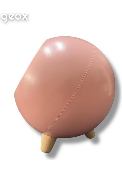 Little Pet House Masa Lambası, Gece Lambası, Abajur fırsatları