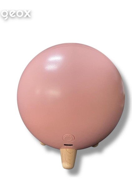 Little Pet House Masa Lambası, Gece Lambası, Abajur indirimleri