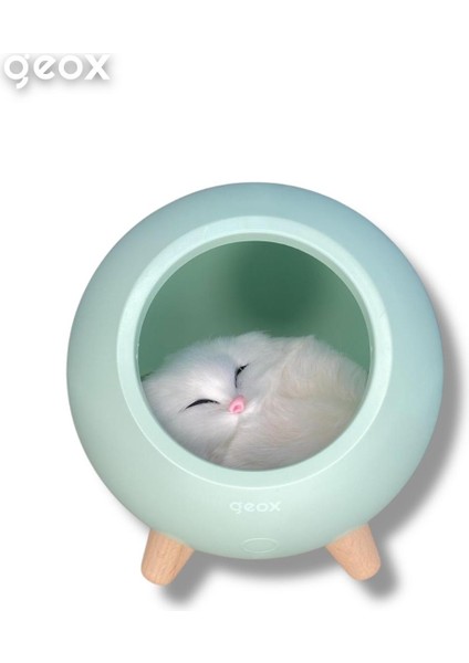 Little Pet House Masa Lambası, Gece Lambası,Abajur fiyatları