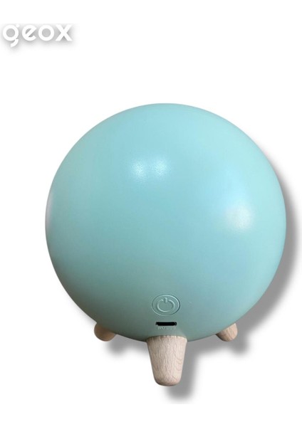 Little Pet House Masa Lambası, Gece Lambası,Abajur modelleri