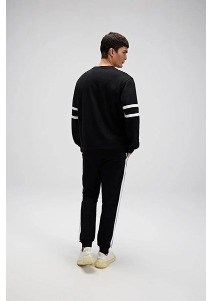 Sweatshırt (2025 Sonbahar-Kış) fiyatları