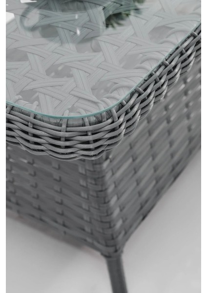 Rattan Alfa Bahçe Mobilyası 3+1+1+1+1+Camlı Masa modelleri