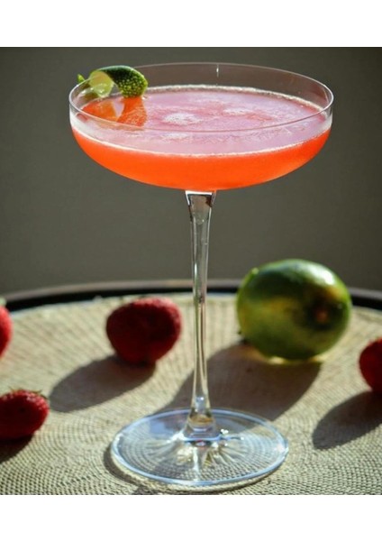 Kokteyl Kadeh Bardağı Nude 2 Adet 220CC fırsatları