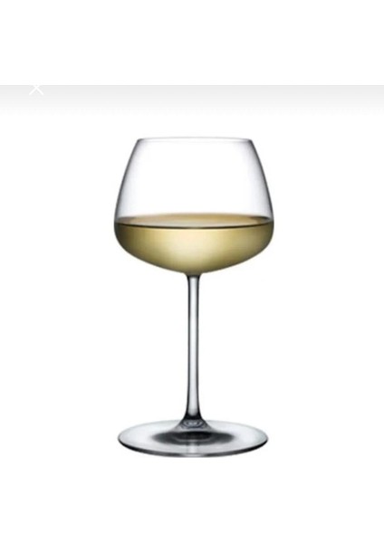 Şarap Kadehi Nude 2 Adet -425 cc fiyatları