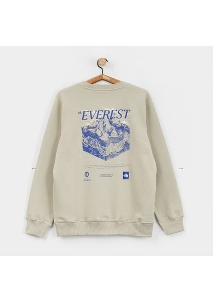 Sweatshirt NF0A89DT fiyatları