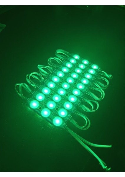 1.5W Yeşil Reklamcı Modül LED Parmak LED Lamba 12 Volt 20 Adet fiyatları