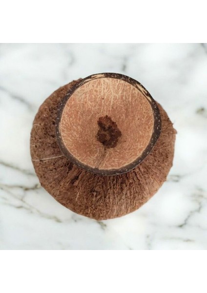 5476 El Yapımı Gerçek Hindistan Cevizi Kase / Doğal Dekoratif Tabak fırsatları