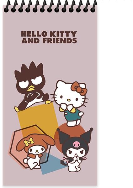 3 Adet Hello Kitty And Friends 10*19 80 Yp Çiz. Spr.karton Kapak Defter fiyatları
