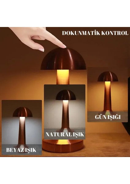 Dekoratif LED Masa Lambası 3 Renk Modlu fiyatları