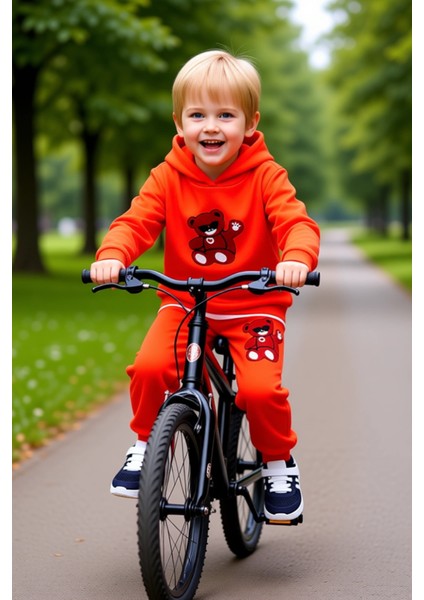 Erkek Çocuk Ayıcık Figürlü Kapüşonlu Eşofman Takımı Kaliteli Şık Rahat Günlük modelleri