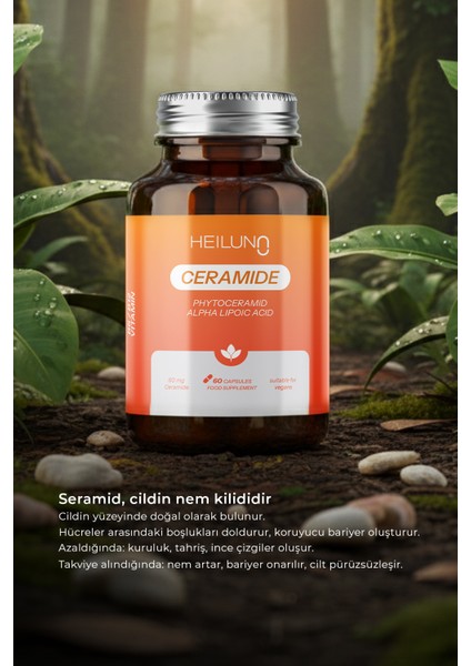 Ceramide 60 Kapsül – Cilt Bariyerini Güçlendiren %100 Vegan Takviye - Phytoceramide 60 mg, ALA, B6, B12 modelleri