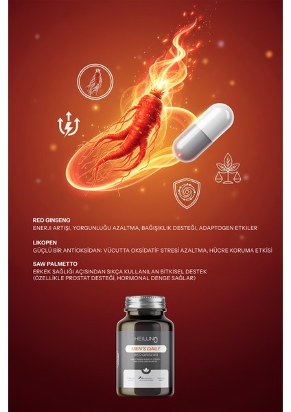 Men’s Daily Multivitamin 60 Kapsül – Enerji ve Güç Desteği - Red Ginseng, Likopen & Saw Palmetto