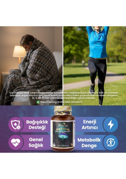 Shenmush | Mantar Karışımı | Ahcc, Reishi, Shiitake, Lions's Mane, Agaricus | 30 Kapsül fiyatları