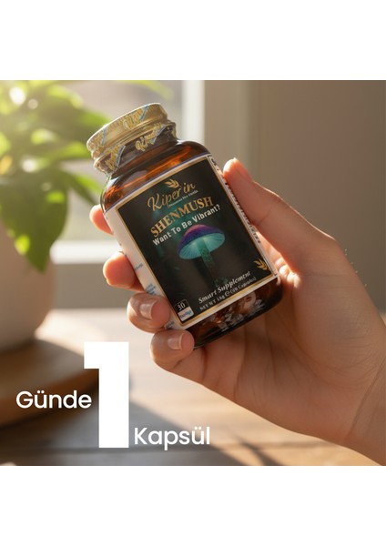 Shenmush | Mantar Karışımı | Ahcc, Reishi, Shiitake, Lions's Mane, Agaricus | 30 Kapsül indirimleri