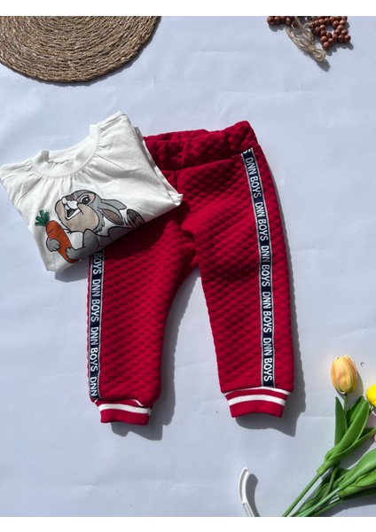 Erkek Bebek Takım fiyatları