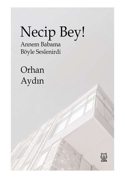 Necip Bey!