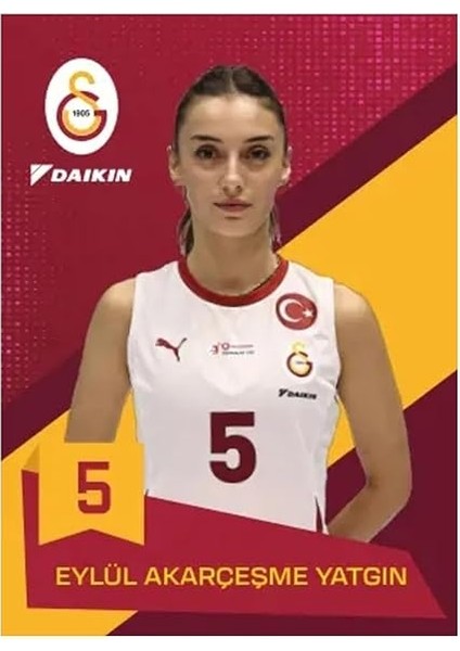 Cards Galatasaray Voleybol Kart Serisi-Karton Kutu 24/25 (15 Kart) modelleri