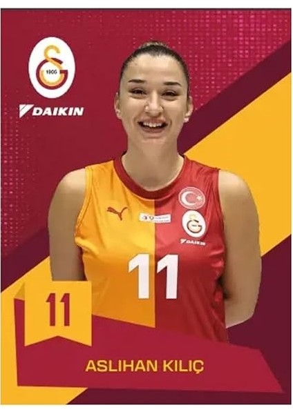 Cards Galatasaray Voleybol Kart Serisi-Karton Kutu 24/25 (15 Kart) fırsatları