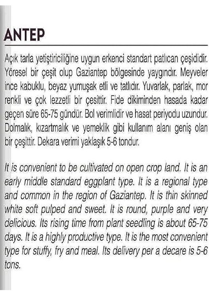 Tarım Ata Tohumu Yerli Antep Patlıcanı 100 Adet Tohum fiyatları