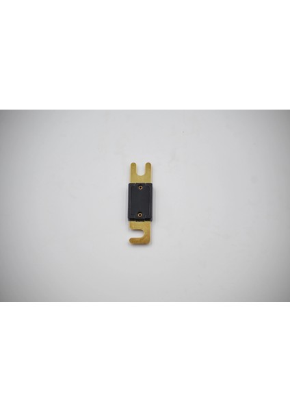 Anl Amfi Sigortası Içi – Büyük Boy 250 Amper Anl Sigorta Içi – 250A Kaliteli Anfi Sigortası Içi fiyatları