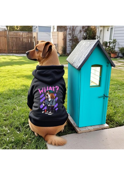 What Baskili Ici Polarli Köpek Kıyafeti Sweatshirt