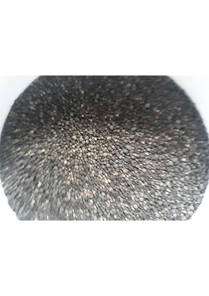 Çim Coşturan 2800 Çim Gübresi 10 kg 500 M2 (25.5.5)+Me fiyatları