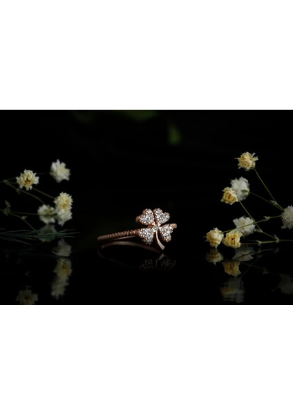 Şansın Işıltısı Yüzük