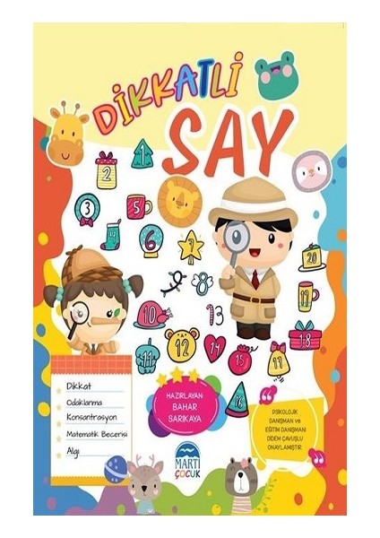 Dikkatli Say