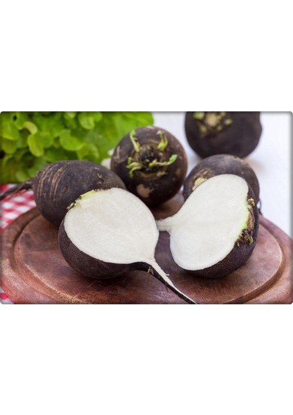 Siyah Turp Tohumu (10 Gr) fiyatları