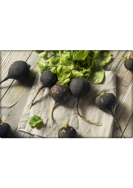 Siyah Turp Tohumu (10 Gr) modelleri