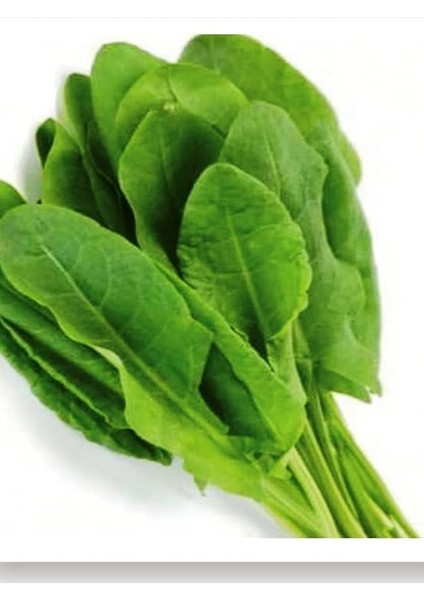 Tarım Ata Tohumu Yerli Kuzukulağı Gürsel 1000 Adet Tohum