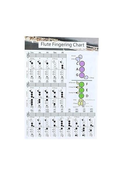 Flüt Akor Tablosu, Taşınabilir Flüt Parmak Çalma Akor Tablosu Kaplamalı Kağıt Flüt Parmak Çalma Alıştırma Tablosu Acemi Öğrenci Uygulama Öğretim (Büyük Flüt Çalma Tablosu fiyatları