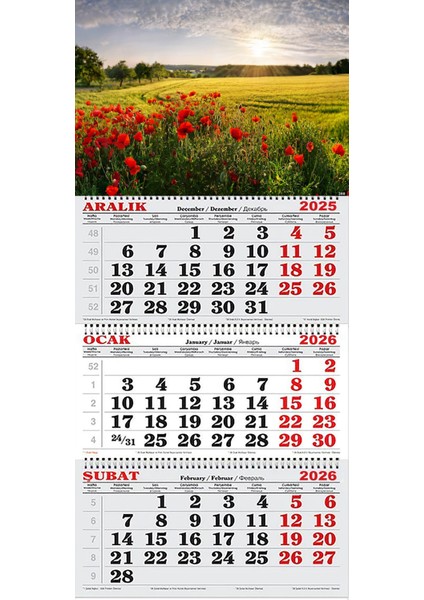 2026 Yılı Gemici Takvimi- Gelincikler ve Yemyeşil Ova