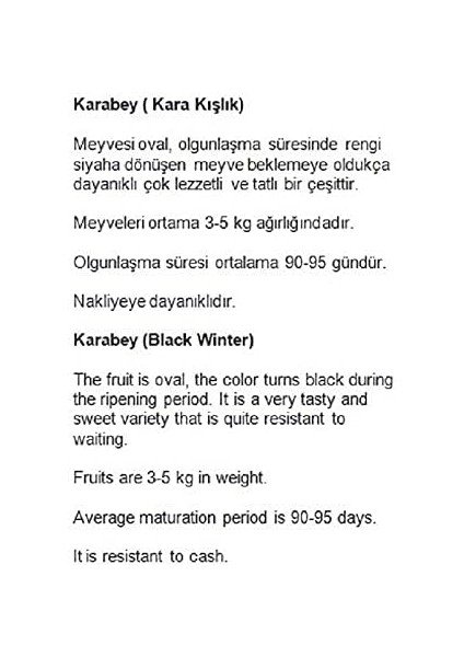 Tarım Ata Tohumu Yerli Kışlık Kavun Karabey 100 Adet Tohum fiyatları