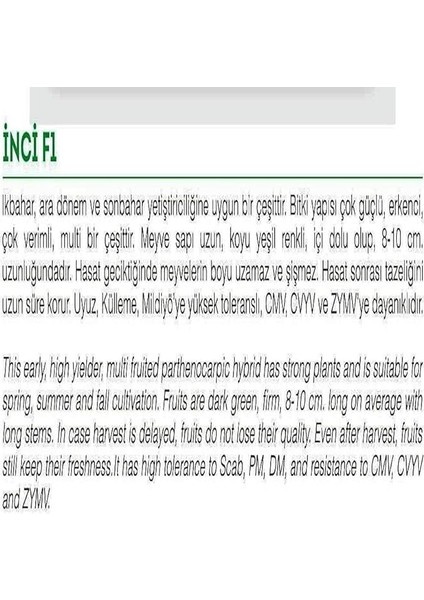 Tarım Hibrit Asma Salatalık Inci-F1 10 Adet Tohum fiyatları