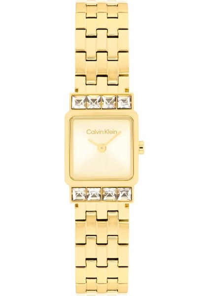 CK25100162 Kadın Kol Saati