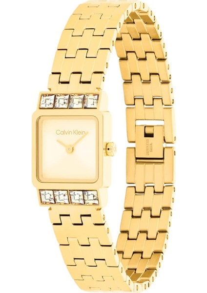 CK25100162 Kadın Kol Saati fiyatları