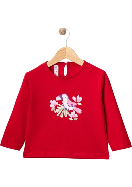 Mevsimlik Badi fiyatları