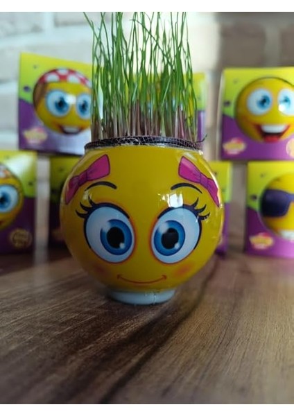 Çimoji 40'lı Tek Tek Kutulu Eğitici Hediyelik Oyuncak Çimadam Çimoji modelleri