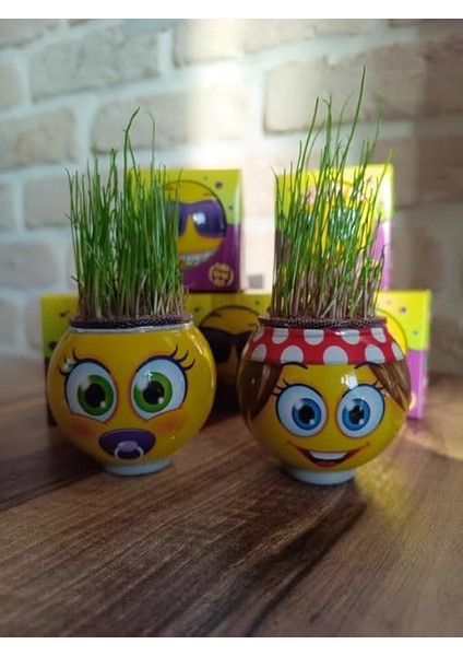 Çimoji 40'lı Tek Tek Kutulu Eğitici Hediyelik Oyuncak Çimadam Çimoji indirimleri